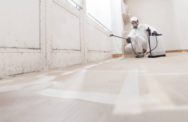 Black mold remediation team in Harbor Springs